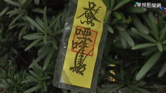 遏止亂丟垃圾 里長出奇招｢掛符咒｣