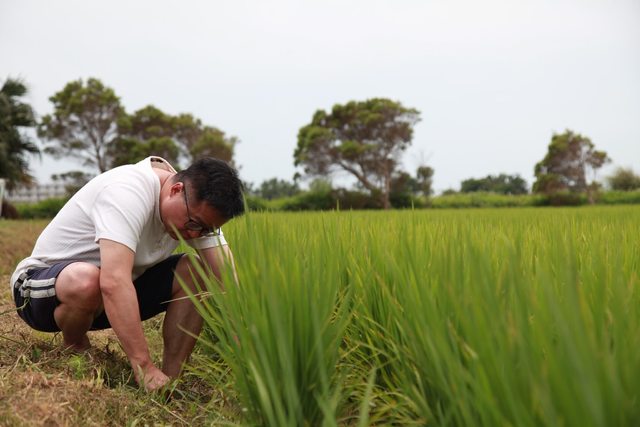 人民善良但不傻！羅文嘉喊話民進黨：別仗國會多數