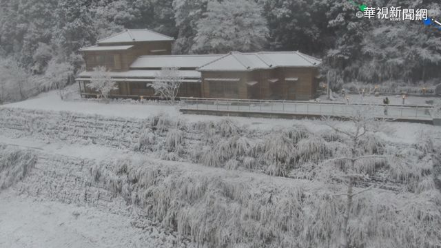 太平山追雪去! 太平山莊車潮綿延6公里
