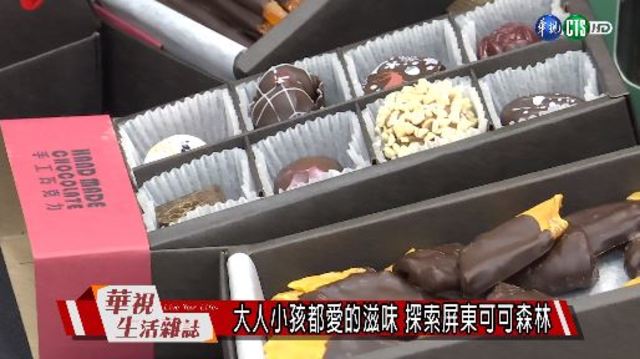 大人小孩都愛的滋味 探索屏東可可森林