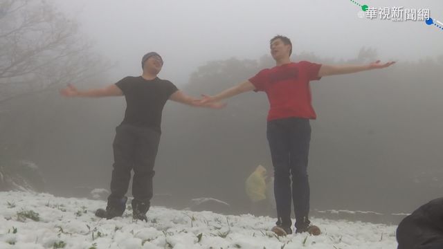 陽明山銀白世界 追雪族開心打雪仗