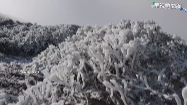 雪山一片銀白世界 積雪覆蓋結冰柱