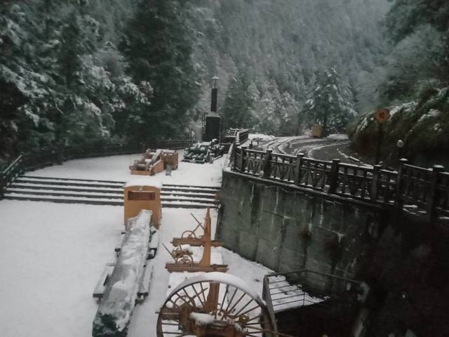 （翻攝臉書太平山國家森林遊樂區）