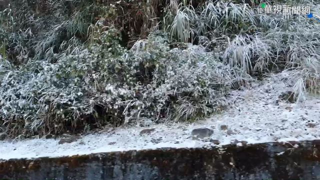寒流挾豐沛水氣 松雪樓白雪皚皚