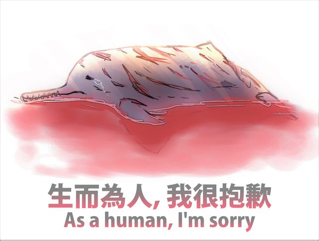 印度殘忍虐殺海豚 海委會：生而為人，我很抱歉