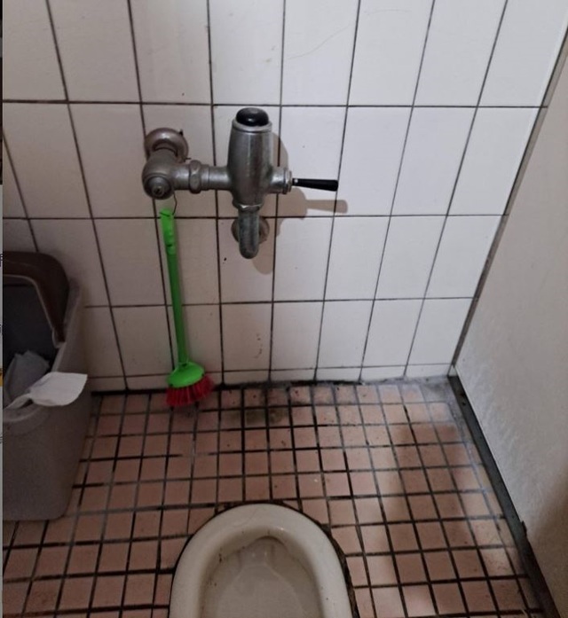 蹲式馬桶沖水用腳踩還用手按？答案一面倒讓她崩潰