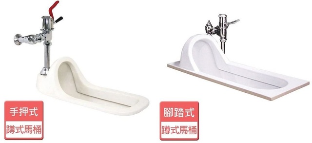 網友貼出馬桶的兩種款式。（翻攝自Dcard）