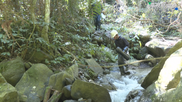瑞穗舞鶴茶農缺水苦 山區引水灌溉