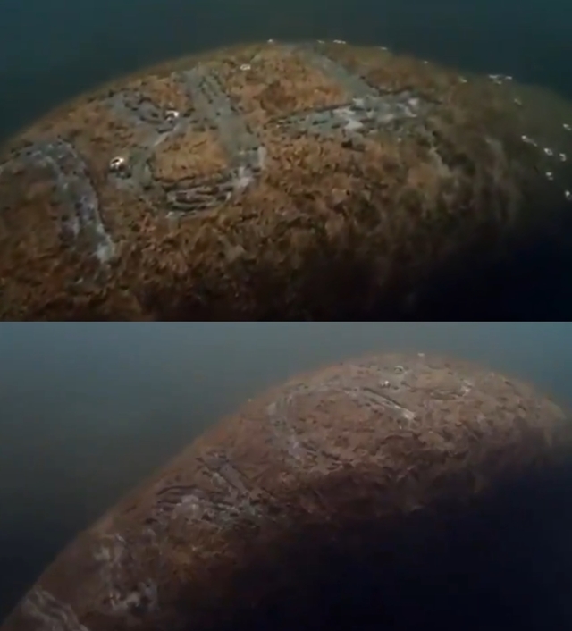 （翻攝自Twitter影片）