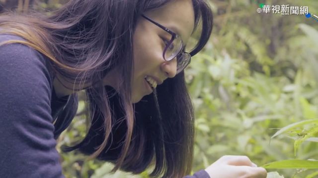 都會.自然美景兼容! 大馬觀光資源豐