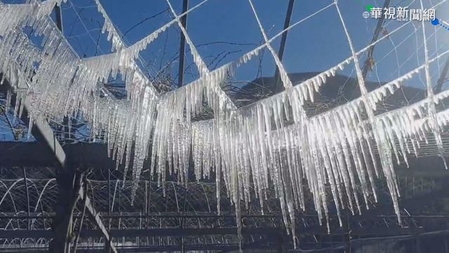 武陵農場水晶冰簾 陽光照射晶瑩剔透