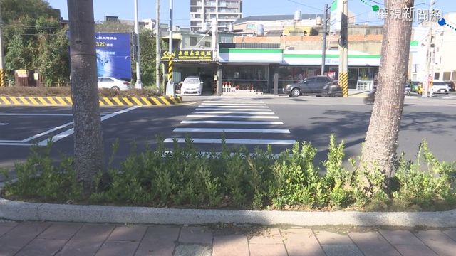 危!離譜斑馬線竟直通花圃 民眾不愛走
