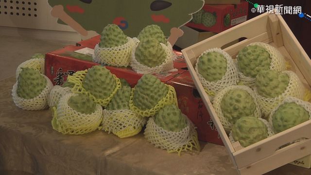 挺農民打拚 首長聯合推台東鳳梨釋迦