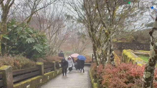 太平山濕冷飄雪花冰霰 遊客好驚喜