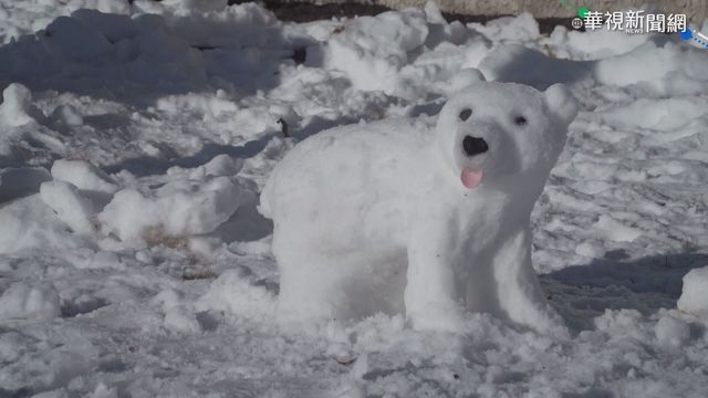 巴黎遭瑞雪覆蓋 民眾上街堆雪人