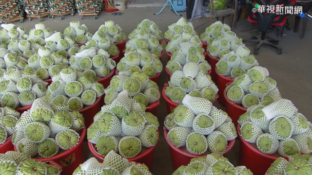 疫情重創外銷 鳳梨釋迦優惠賣國人!