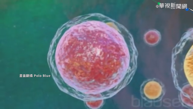 醫師:無症狀感染特性 成各國最大問題