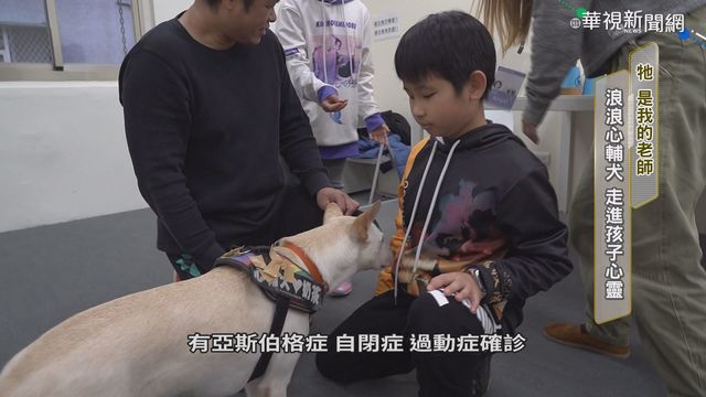 流浪犬扭轉命運 化身心輔老師助孩童