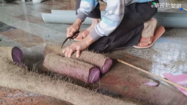 山藥長達270公分 農夫種出新紀錄