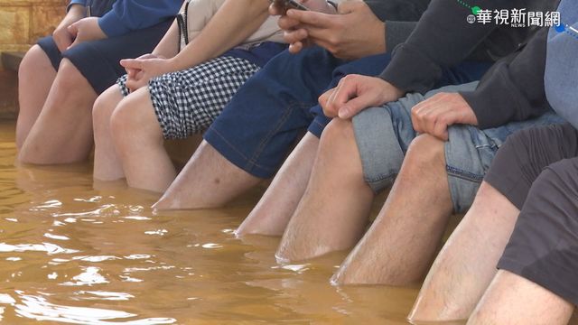 天涼泡湯夯! 金山萬里溫泉節湧人潮