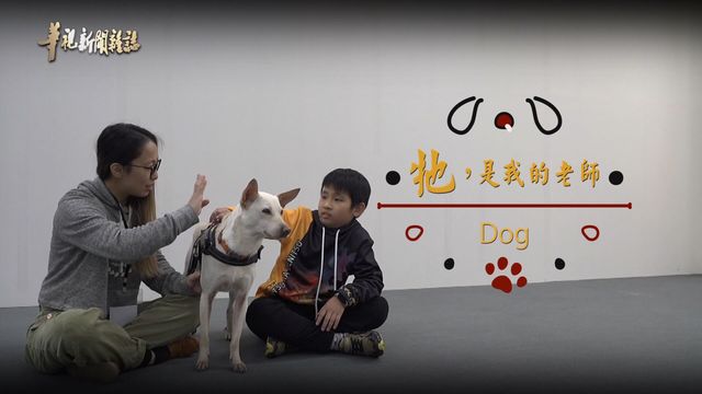 浪浪心輔犬 走進孩子心靈｜牠 是我的老師｜華視新聞雜誌