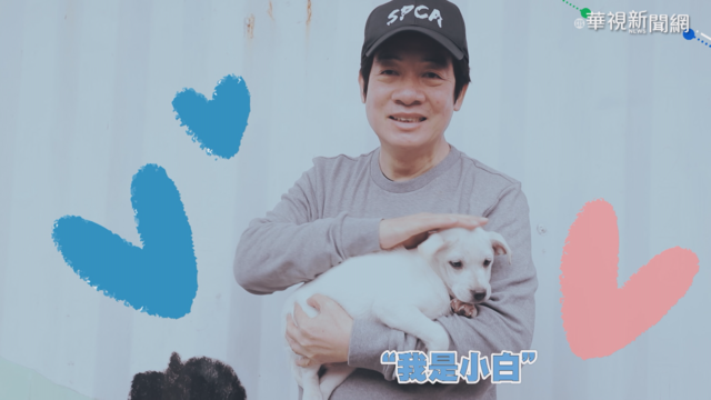 領養代替購買 賴清德當收容所1日志工