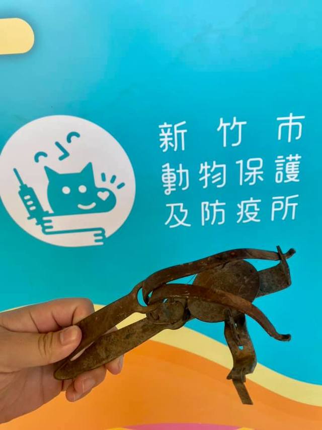 (翻攝邵柏虎臉書)