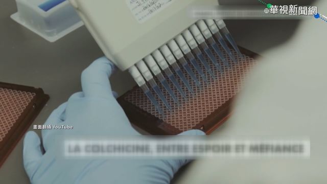 痛風口服藥助抗疫 降低併發症風險