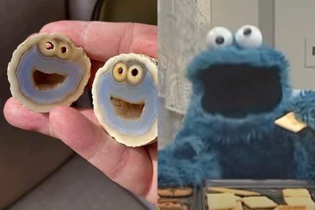 火山岩驚見「芝麻街」角色 內行：一顆要28萬元