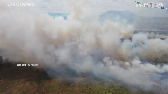 疑人為縱火! 復活島600公頃林地燒光