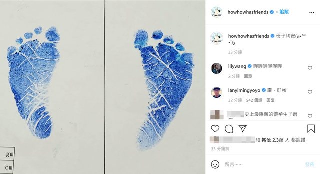 （翻攝Instagram @howhowhasfriends）