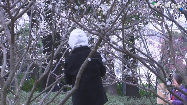 冷氣團來襲! 九縣市急凍低溫特報