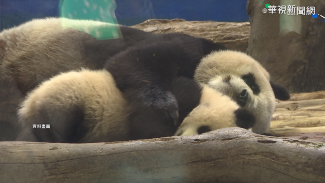 春節景點祭防疫措施 管制人數.量額溫