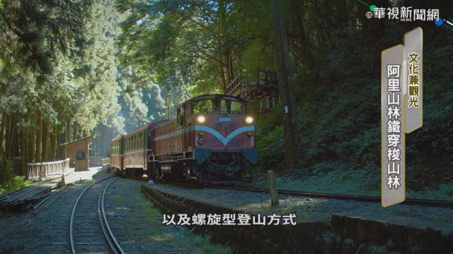文化.觀光兼顧 阿里山林鐵穿梭山林