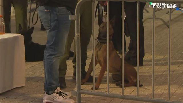 防疫新招! 熱火隊派出新冠檢疫犬把關