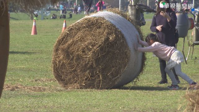 超大稻草捲藝術展 民眾興奮搶拍