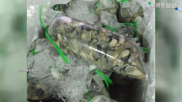 越南鮮蚵又出包! 驗出諾羅.A肝病毒