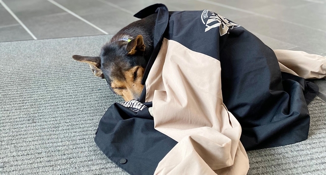 寒流來襲「校浪」冷到發抖 清大暖男幫蓋外套眾人讚