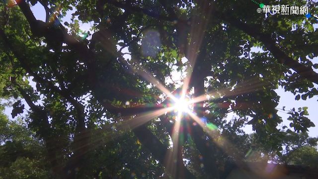 好天氣持續到下週！春節「初一、初二」天氣出爐