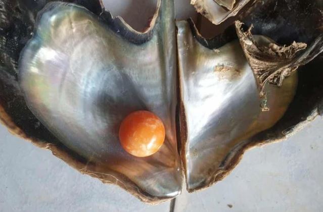 全球僅300顆！ 泰漁民撿到「龍珠」 富豪千萬收購