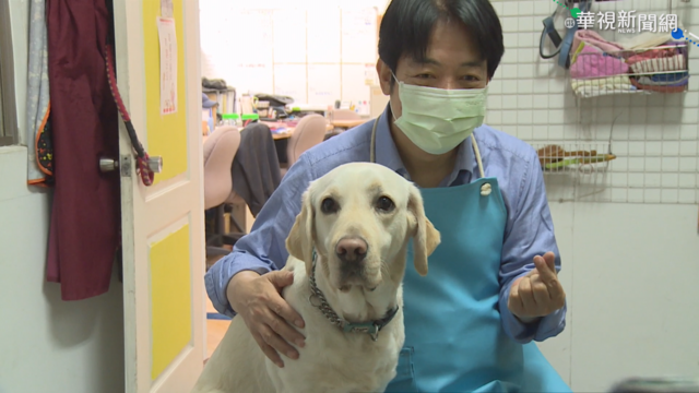 台灣導盲犬不足 賴清德視察給予支持