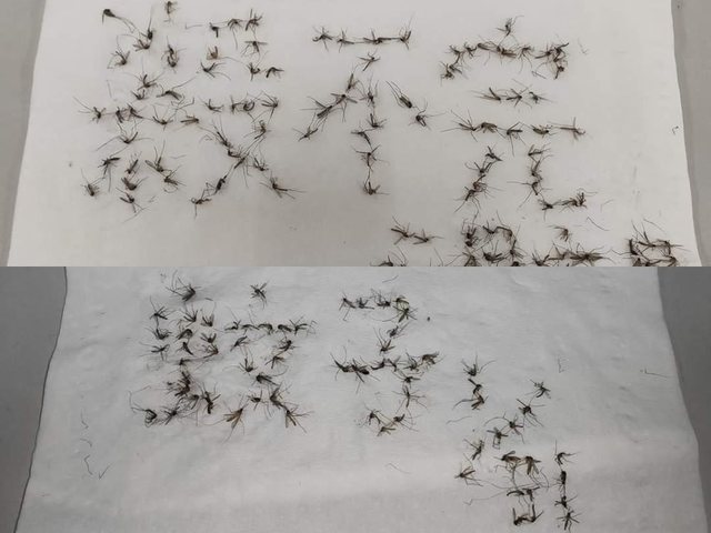 （合成圖／翻攝臉書「爆怨公社」）