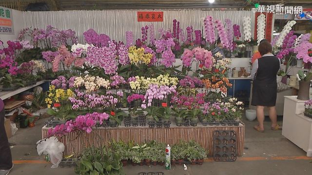 新年買花討喜 銀柳.香水百合.桔梗最夯