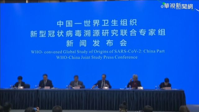 世衛專家小組 完成新冠病毒起源調查