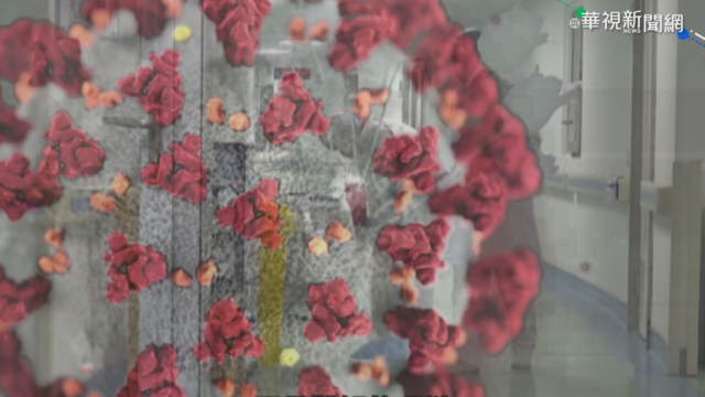 新冠病毒從哪來? 世衛公布調查結果