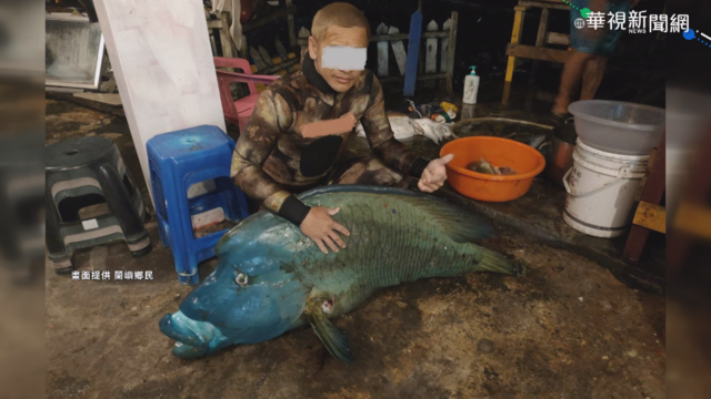 獵殺龍王鯛PO網炫耀 男恐觸法吃牢飯