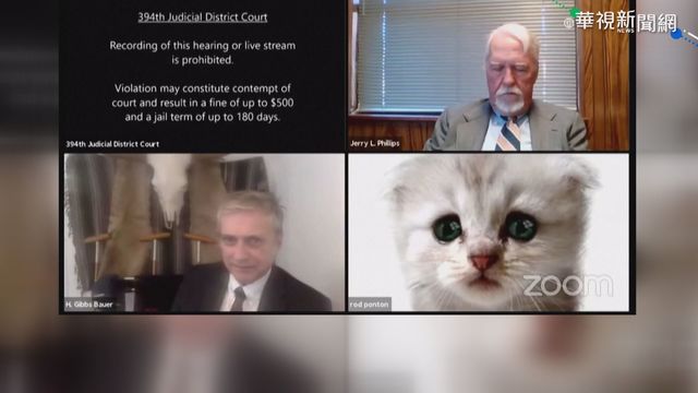 不諳視訊軟體濾鏡 美律師變萌貓!