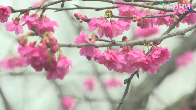 春節去哪玩? 觀光局推全台懶人包行程