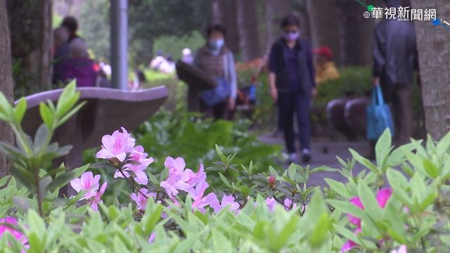 開工日冷氣團報到 低溫恐下探10度