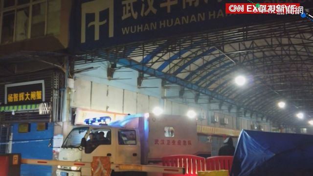 世衛查疫源 19年底武漢已有13病毒株